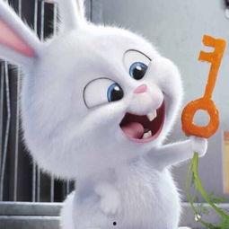 娱乐吃瓜小兔子小说,小兔子吃瓜记  第2张